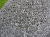 image of grave number 45889